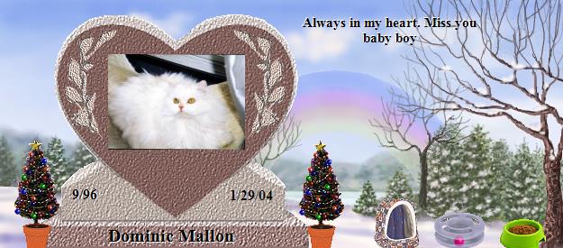 Dominic Mallon's Rainbow Bridge Pet Loss Memorial Residency Image