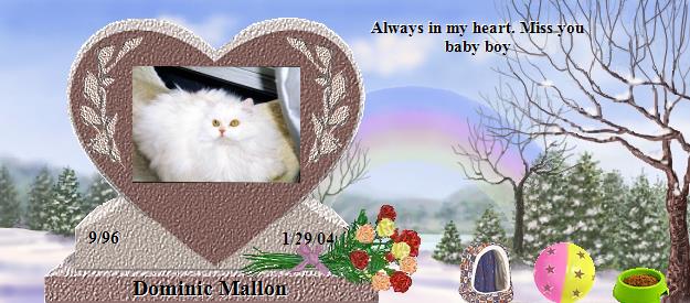 Dominic Mallon's Rainbow Bridge Pet Loss Memorial Residency Image