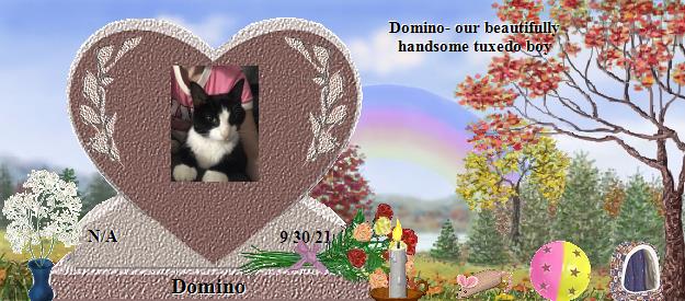 Domino's Rainbow Bridge Pet Loss Memorial Residency Image