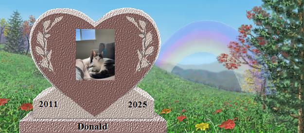 Donald's Rainbow Bridge Pet Loss Memorial Residency Image