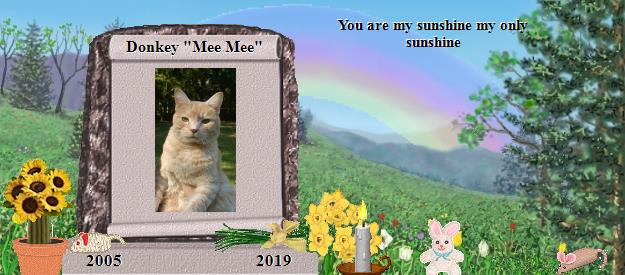 Donkey "Mee Mee"'s Rainbow Bridge Pet Loss Memorial Residency Image