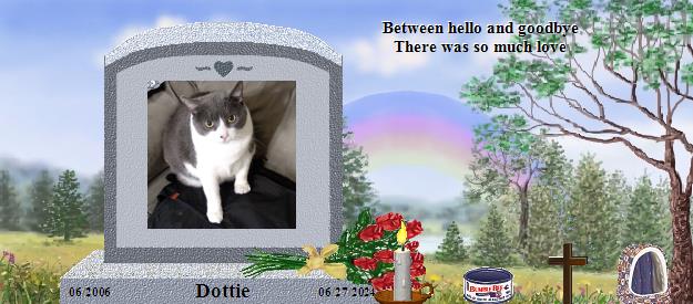 Dottie's Rainbow Bridge Pet Loss Memorial Residency Image