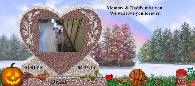 Drako's Rainbow Bridge Pet Loss Memorial Residency Image