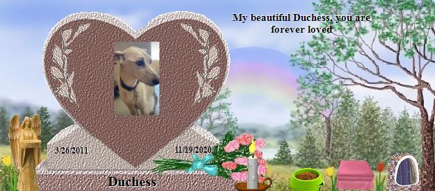 Duchess's Rainbow Bridge Pet Loss Memorial Residency Image