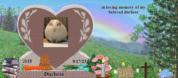 Duchess's Rainbow Bridge Pet Loss Memorial Residency Image