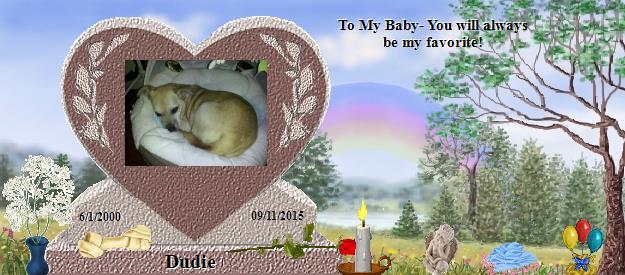 Dudie's Rainbow Bridge Pet Loss Memorial Residency Image
