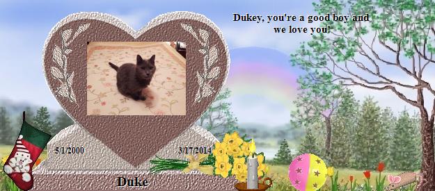 Duke's Rainbow Bridge Pet Loss Memorial Residency Image