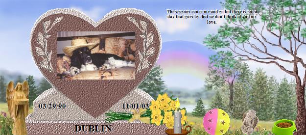 DUBLIN's Rainbow Bridge Pet Loss Memorial Residency Image