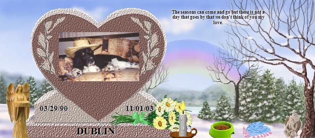 DUBLIN's Rainbow Bridge Pet Loss Memorial Residency Image