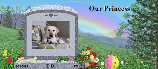 E.B.'s Rainbow Bridge Pet Loss Memorial Residency Image