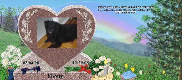 Ebony's Rainbow Bridge Pet Loss Memorial Residency Image