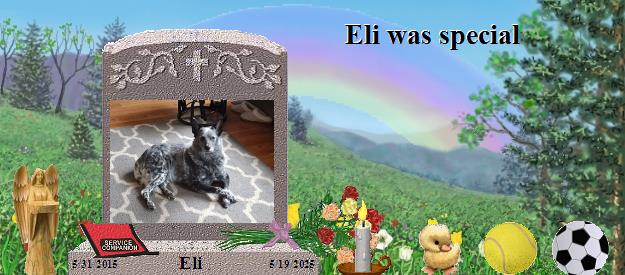 Eli's Rainbow Bridge Pet Loss Memorial Residency Image