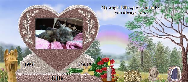 Ellie's Rainbow Bridge Pet Loss Memorial Residency Image