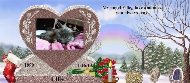 Ellie's Rainbow Bridge Pet Loss Memorial Residency Image