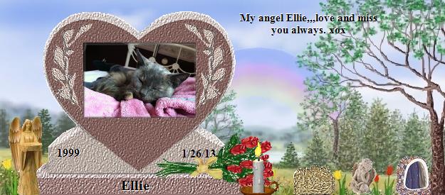 Ellie's Rainbow Bridge Pet Loss Memorial Residency Image
