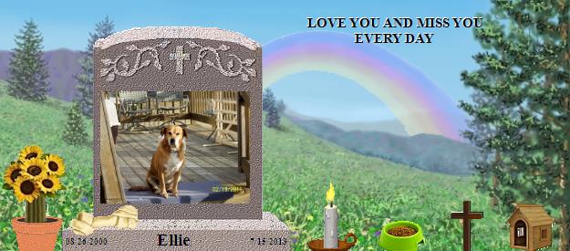 Ellie's Rainbow Bridge Pet Loss Memorial Residency Image