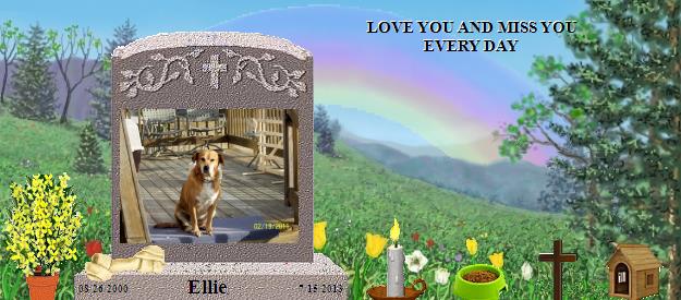 Ellie's Rainbow Bridge Pet Loss Memorial Residency Image