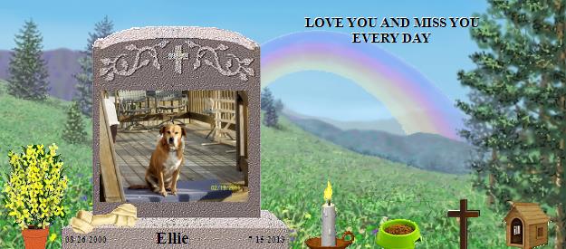 Ellie's Rainbow Bridge Pet Loss Memorial Residency Image