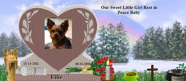 Ellie's Rainbow Bridge Pet Loss Memorial Residency Image