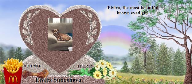 Elvira Subosheva's Rainbow Bridge Pet Loss Memorial Residency Image