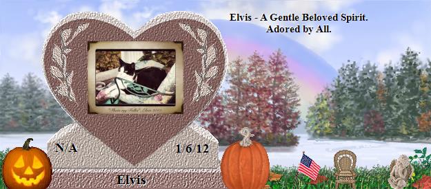 Elvis's Rainbow Bridge Pet Loss Memorial Residency Image