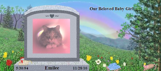 Emilee's Rainbow Bridge Pet Loss Memorial Residency Image