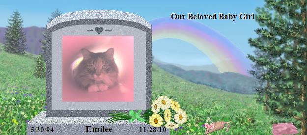 Emilee's Rainbow Bridge Pet Loss Memorial Residency Image