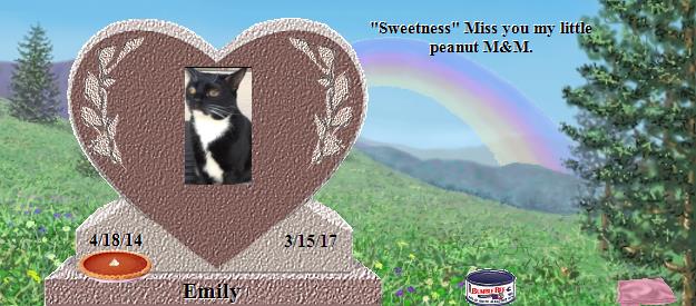 Emily's Rainbow Bridge Pet Loss Memorial Residency Image