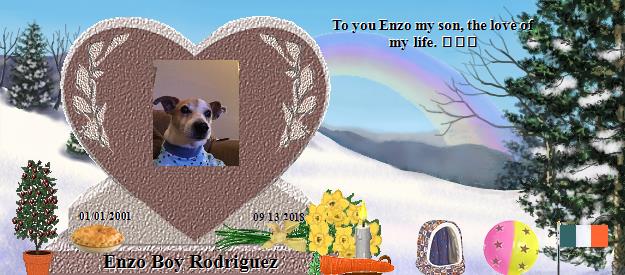 Enzo Boy Rodriguez's Rainbow Bridge Pet Loss Memorial Residency Image