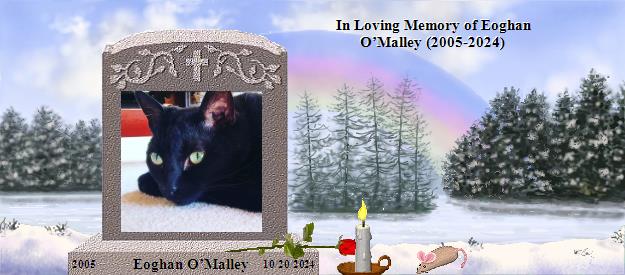 Eoghan O’Malley's Rainbow Bridge Pet Loss Memorial Residency Image