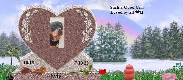 Evie's Rainbow Bridge Pet Loss Memorial Residency Image