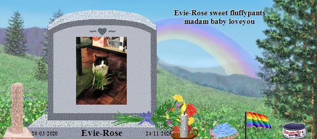 Evie-Rose's Rainbow Bridge Pet Loss Memorial Residency Image