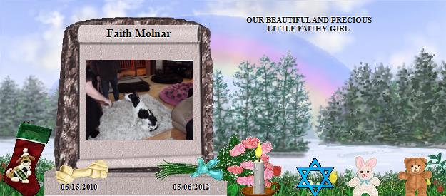 Faith Molnar's Rainbow Bridge Pet Loss Memorial Residency Image