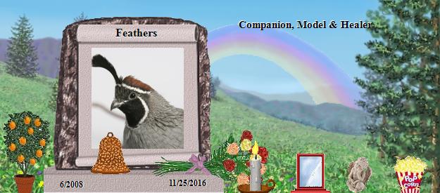 Feathers's Rainbow Bridge Pet Loss Memorial Residency Image