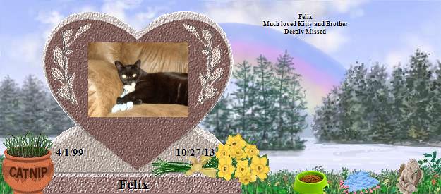 Felix's Rainbow Bridge Pet Loss Memorial Residency Image