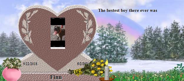 Finn's Rainbow Bridge Pet Loss Memorial Residency Image