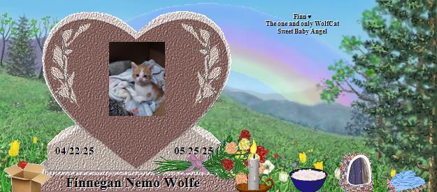 Finnegan Nemo Wolfe's Rainbow Bridge Pet Loss Memorial Residency Image