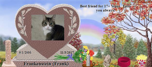 Frankenstein (Frank)'s Rainbow Bridge Pet Loss Memorial Residency Image