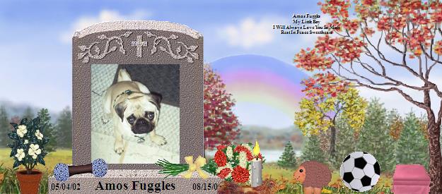 Amos Fuggles's Rainbow Bridge Pet Loss Memorial Residency Image