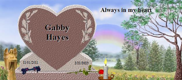 Gabby Hayes's Rainbow Bridge Pet Loss Memorial Residency Image