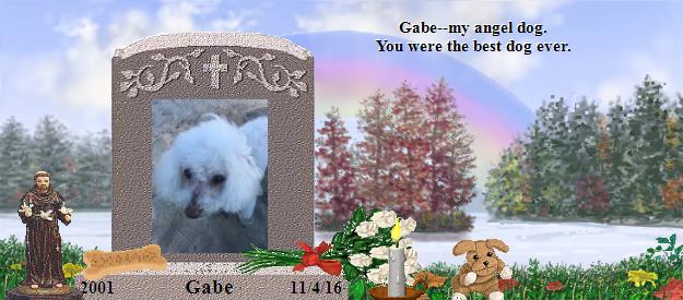 Gabe's Rainbow Bridge Pet Loss Memorial Residency Image