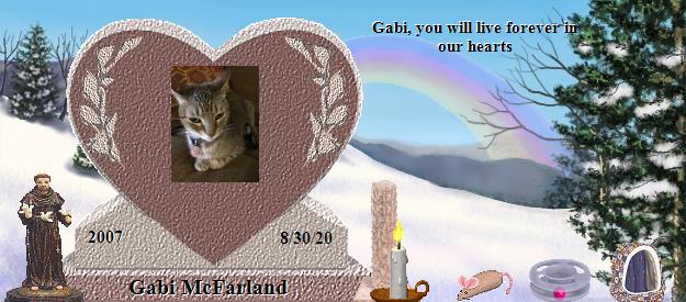 Gabi McFarland's Rainbow Bridge Pet Loss Memorial Residency Image