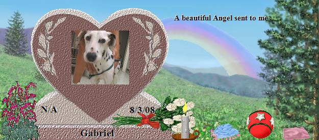 Gabriel's Rainbow Bridge Pet Loss Memorial Residency Image