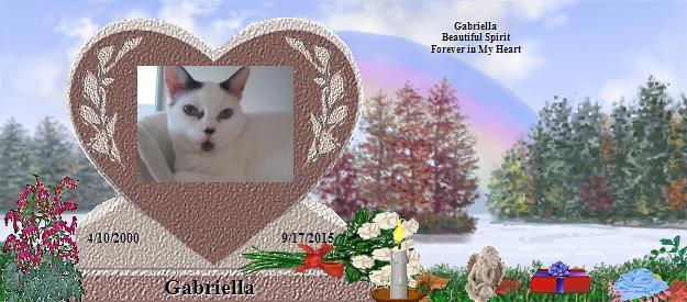 Gabriella's Rainbow Bridge Pet Loss Memorial Residency Image