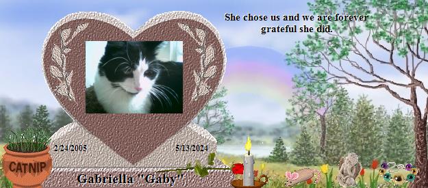 Gabriella "Gaby"'s Rainbow Bridge Pet Loss Memorial Residency Image