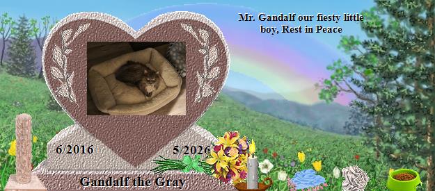 Gandalf the Gray's Rainbow Bridge Pet Loss Memorial Residency Image