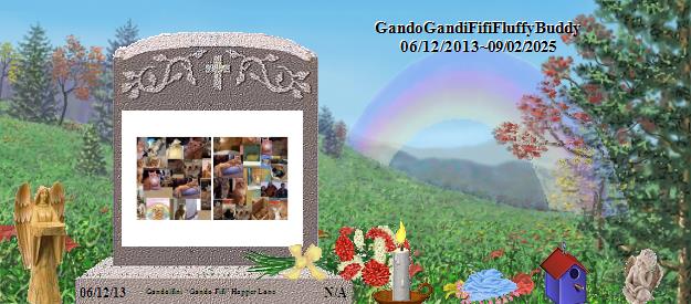Gandolfini  “Gando Fifi” Hopper Lane's Rainbow Bridge Pet Loss Memorial Residency Image