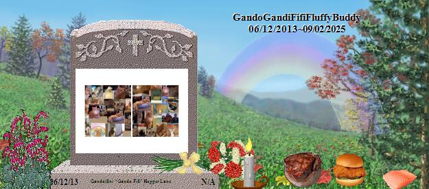 Gandolfini  &ldquo;Gando Fifi&rdquo; Hopper Lane's Rainbow Bridge Pet Loss Memorial Residency Image