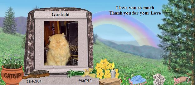 Garfield's Rainbow Bridge Pet Loss Memorial Residency Image