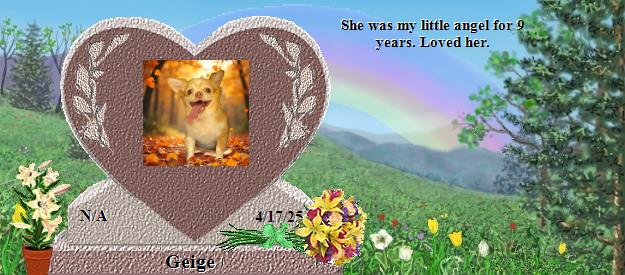 Geige's Rainbow Bridge Pet Loss Memorial Residency Image